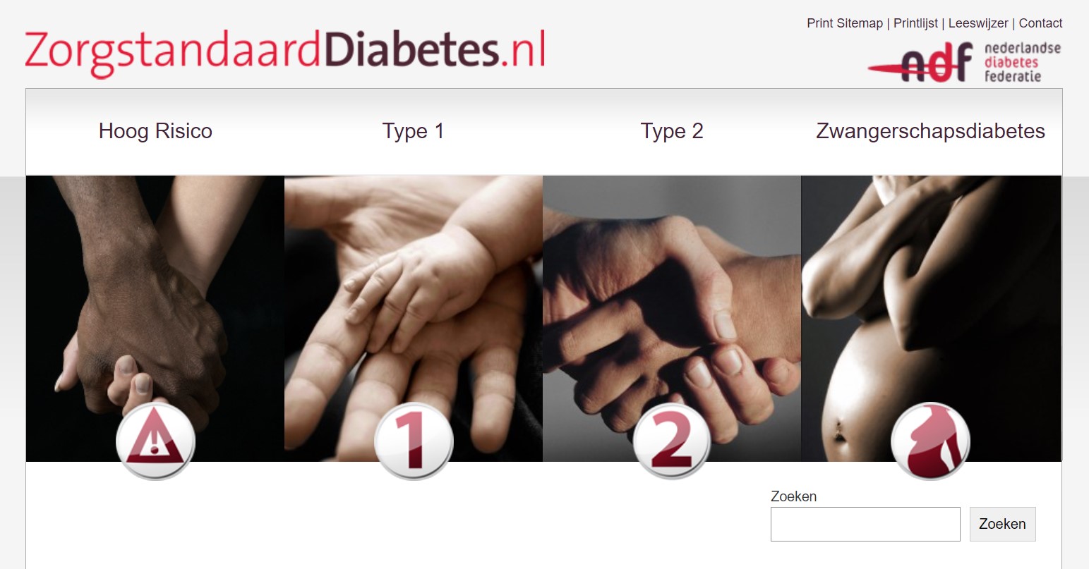 Voorbeeld van een zorg-/behandelstandaard Diabetes